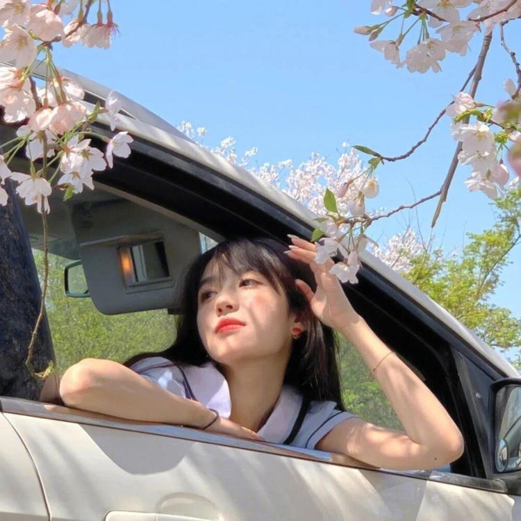 苍井优（饰 高荷惠） - 辣舞影视网址在线观看21 - 网页看电影